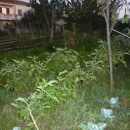 Bed & Breakfast Antico Frutteto Cessaniti