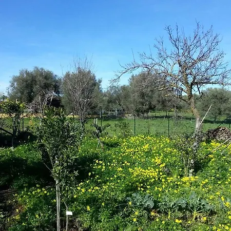 Antico Frutteto Frühstückspension Cessaniti