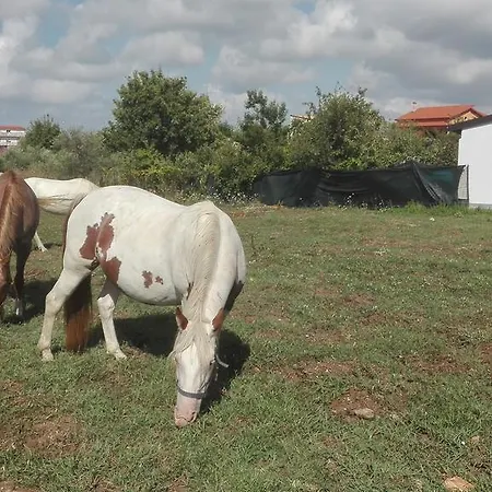 Bed & Breakfast Antico Frutteto