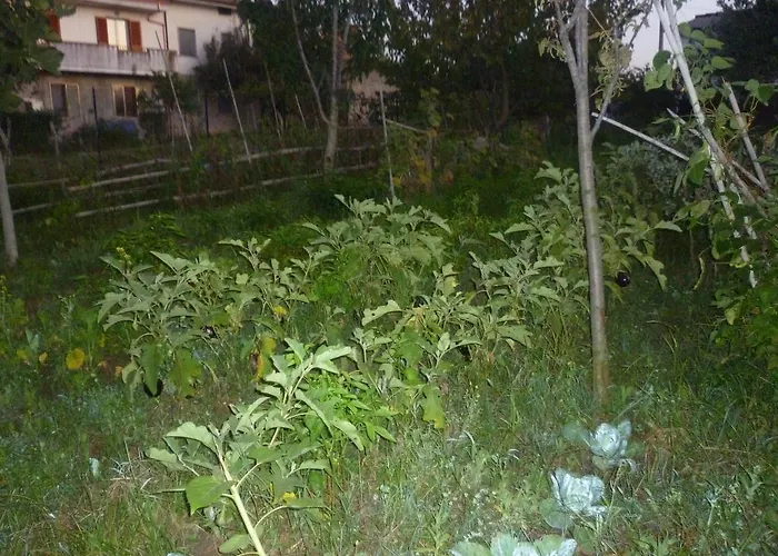 ベッド・アンド・ブレックファスト Antico Frutteto Cessaniti