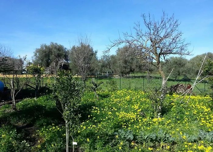 Antico Frutteto ベッド・アンド・ブレックファスト Cessaniti