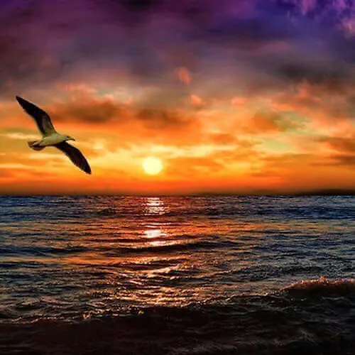 ベッド・アンド・ブレックファスト Antico Frutteto *