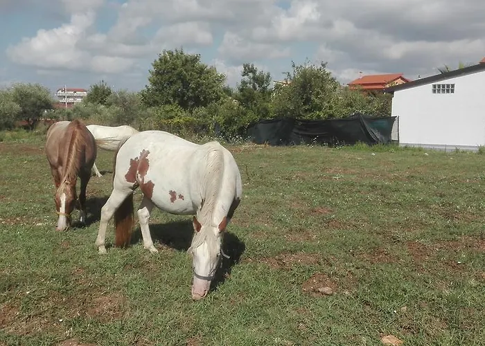 ベッド・アンド・ブレックファスト Antico Frutteto